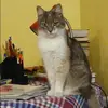 Отзыв от Прасковья Овсянникова